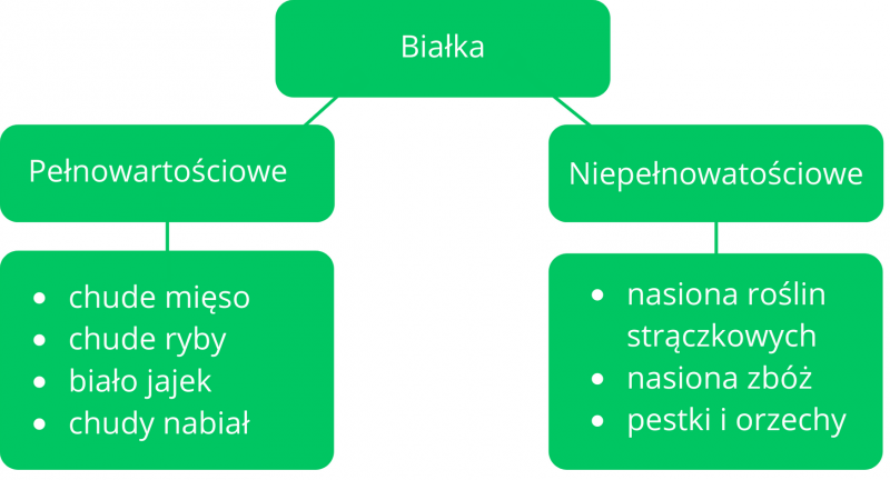Białka Weglowodany Tłuszcze Sprawdzian Gimnazjum kalkulatorkalorii.net
